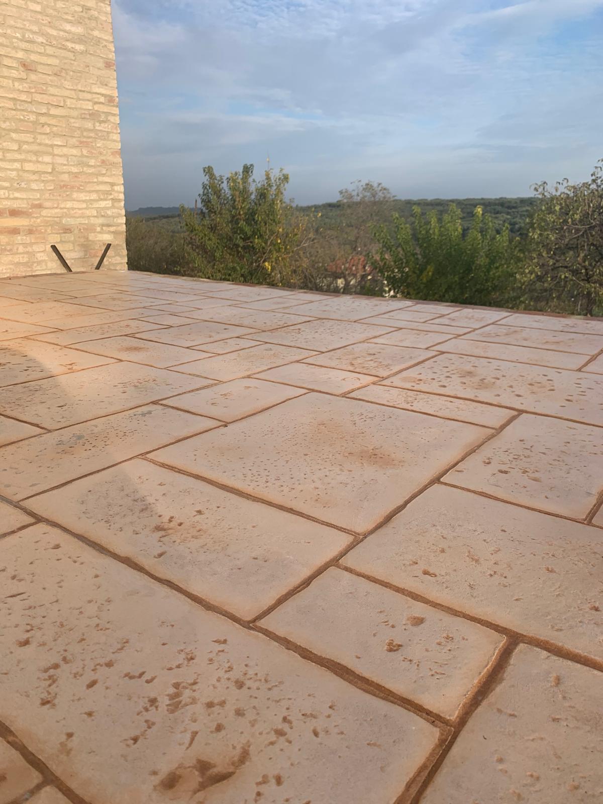 PHOTO-2024-12-02-12-56-00_19