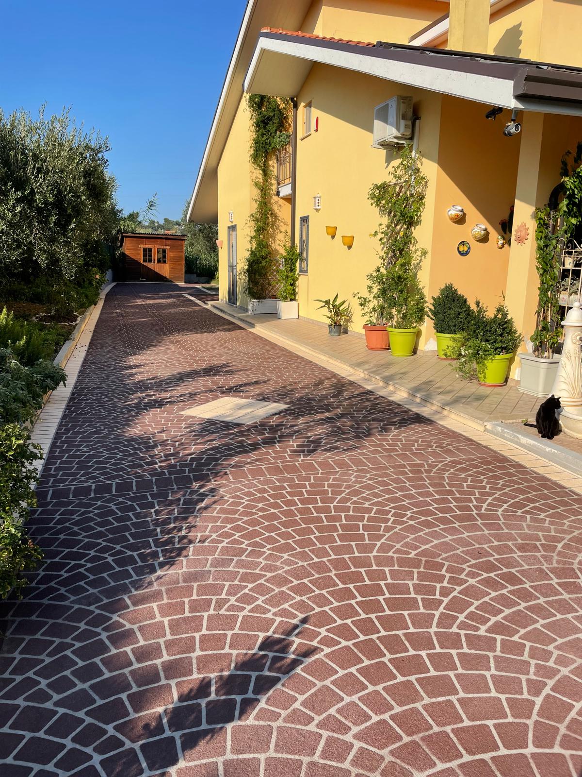 PHOTO-2024-12-02-12-58-41_1